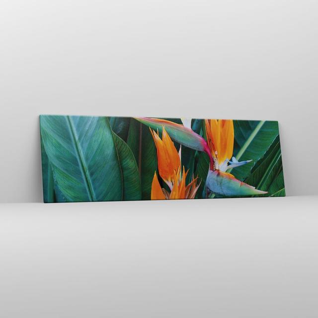 Heavenly Bird Flower - Wrapped Canvas Photograph Bay Isle Home Size: 50cm H x 160cm W on Productcaster.