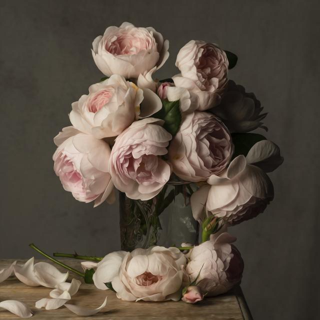 Smitten by Roses by Leah McLean - Wrapped Canvas Photograph Rosalind Wheeler Size: 76cm H x 76cm W x 3.8cm D on Productcaster.