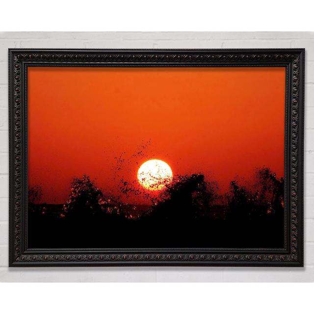 Red Sun Delight Framed Print Bright Star Size: 42cm H x 59.7cm W on Productcaster.