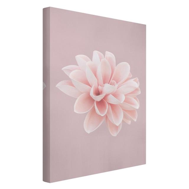 Dahlia Flower Lavender Pink and White - Wrapped Canvas Graphic Art Ebern Designs Format: 330g/m² recycled canvas, Size: 60cm H x 40cm W on Productcaster.