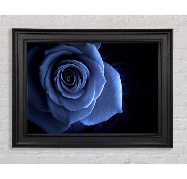 Blue Rose On Black Framed Print Canora Grey Size: 84.1cm H x 142.2cm W on Productcaster.