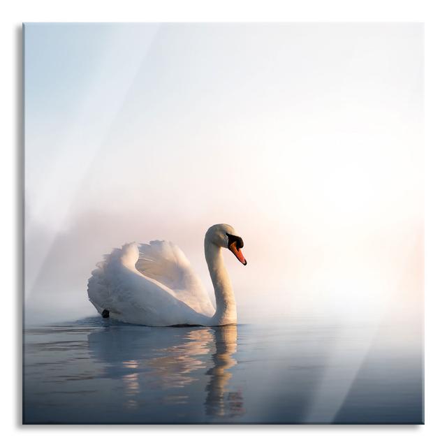 Dreamlike White Swan in the Lake - Unframed Photograph on Glass Ebern Designs Size: 80cm H x 80cm W x 0.4cm D on Productcaster.