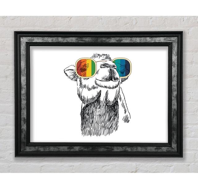 Colourful Glasses Camel - Single Picture Frame Art Prints Bright Star Size: 59.7cm H x 84.1cm W x 8cm D on Productcaster.