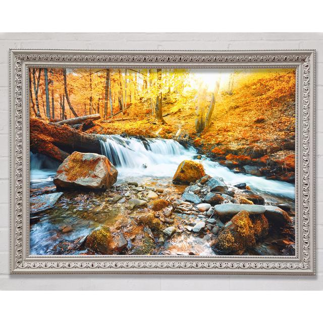 Wasserfall in den Wäldern Schönheit - Einzelne Bilderrahmen Kunstdrucke Bright Star Größe: 42 cm H x 59,7 cm B x 3 cm T on Productcaster.