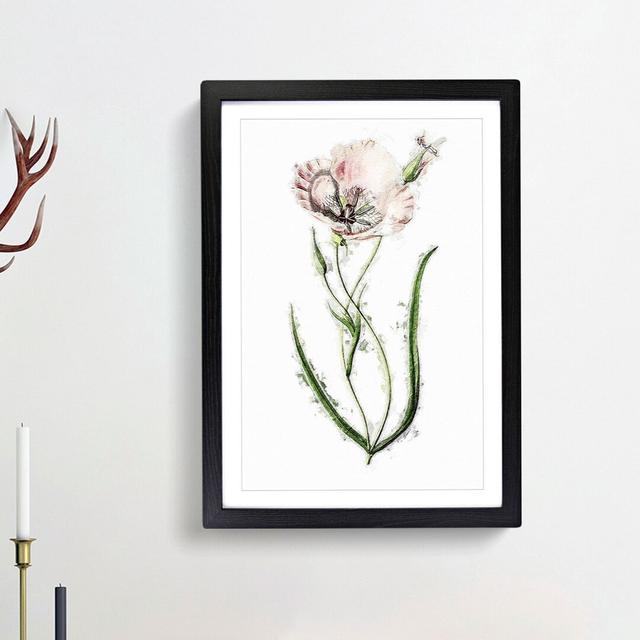 Pink Mariposa Lily Flowers - Picture Frame Painting Print East Urban Home Size: 48cm H x 36cm W x 2cm D, Frame Option: Black Framed on Productcaster.