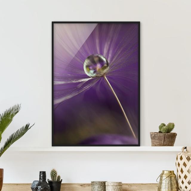 Dandelion in Purple - Picture Frame Graphic Art Marlow Home Co. Size: 100cm H x 70cm W x 2cm D, Frame Option: Black Framed on Productcaster.