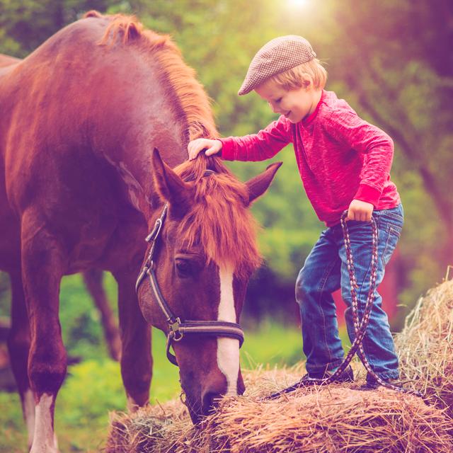 Child And A Horse by ArtMarie - Print Brambly Cottage Size: 51cm H x 51cm W on Productcaster.