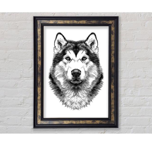 Husky Wolf - Single Picture Frame Art Prints Union Rustic Size: 42cm H x 21cm W x 8cm D on Productcaster.