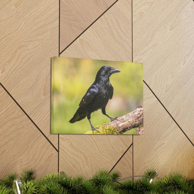 Majestic Crow Art Majestic Crow Print Animal Wall Art Highland Dunes Size: 11cm H x 14cm W on Productcaster.