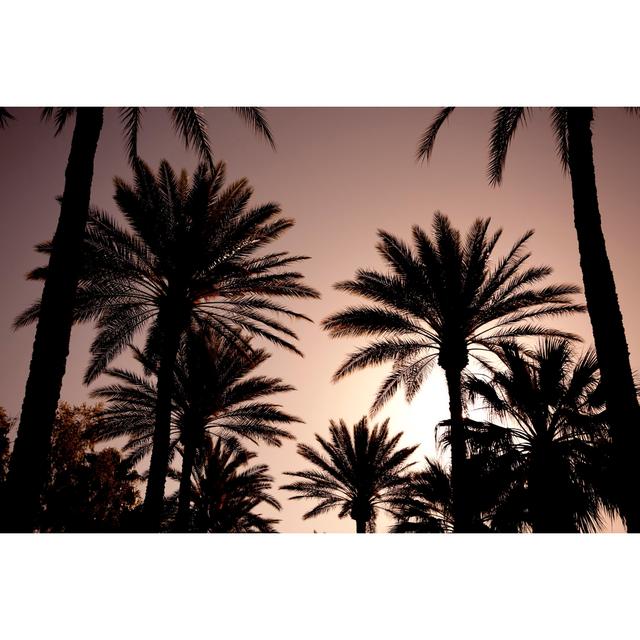 Palm Trees by LPETTET - Print 17 Stories Size: 61cm H x 91cm W on Productcaster.