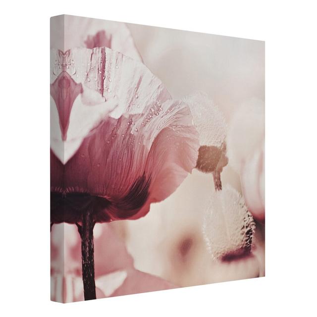 Delicate Pink Poppy with Water Droplets - Wrapped Canvas Photograph Ebern Designs Size: 80cm H x 80cm W, Colour: Pink, Format: 260g/m² Canvas on Productcaster.