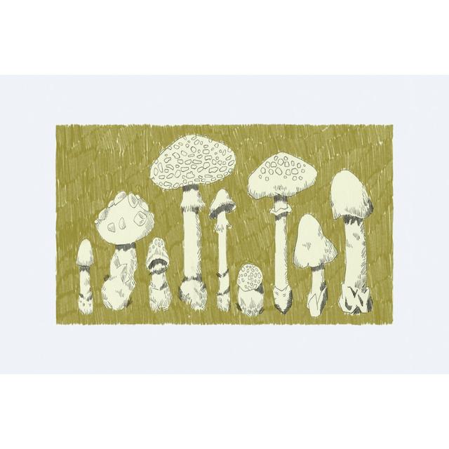 Forest Fungi I by Jacob Green - Wrapped Canvas Painting Rosalind Wheeler Size: 20cm H x 30cm W on Productcaster.