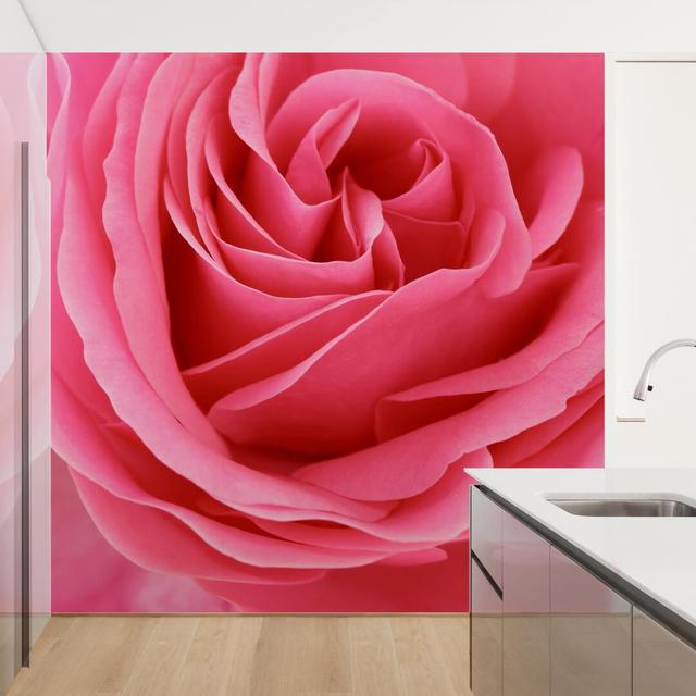 Lustful Pink Rose 2.55m x 3.84m Textured Matt Peel & Stick Wall Mural East Urban Home Size: 288cm L x 288cm W on Productcaster.