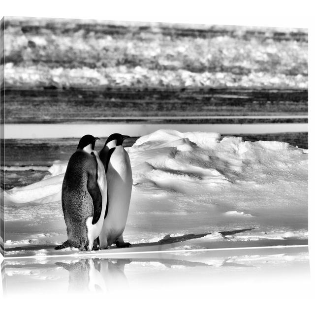 Leinwandbild Zwei Kaiserpinguine auf Eisscholle in Monochrom East Urban Home Größe: 60 cm H x 80 cm B on Productcaster.