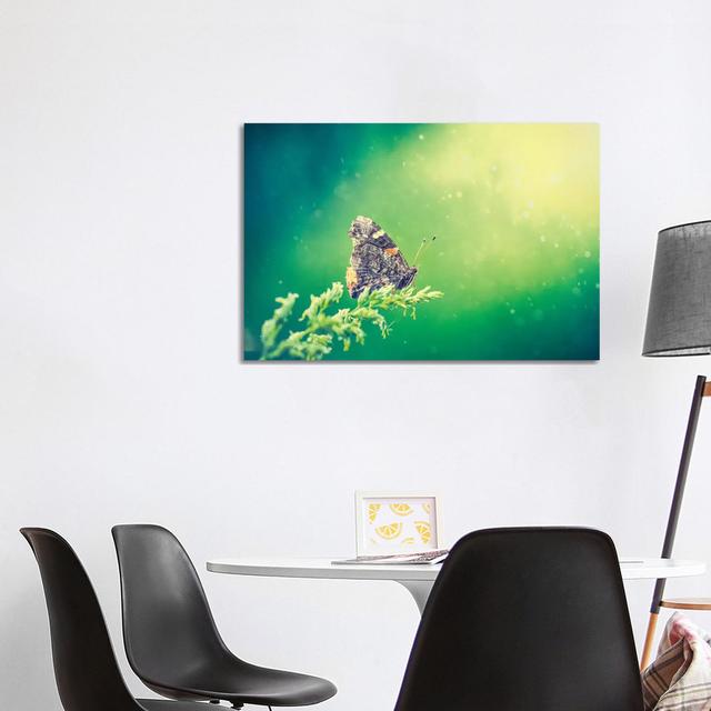 Butterfly In Beam Of Light by Nik Rave - Wrapped Canvas Print Latitude Run Size: 66.04cm H x 101.6cm W x 3.81cm D on Productcaster.