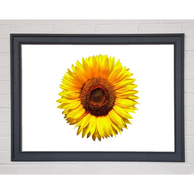 Yellow Sunflower Head - Single Picture Frame Art Prints August Grove Size: 21cm H x 29.7cm W on Productcaster.