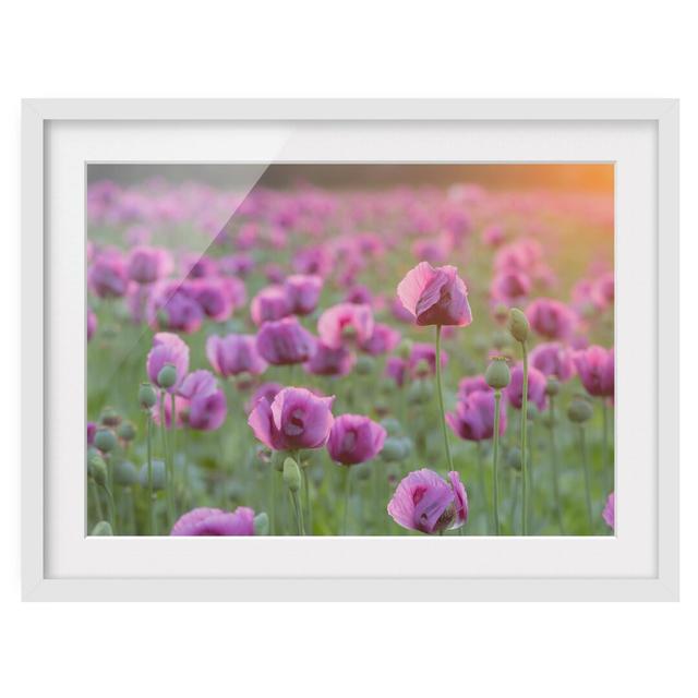 Field in Springtime Framed Photographic Print Poster East Urban Home Frame Options: Matt white, Size: 40cm H x 55cm W on Productcaster.