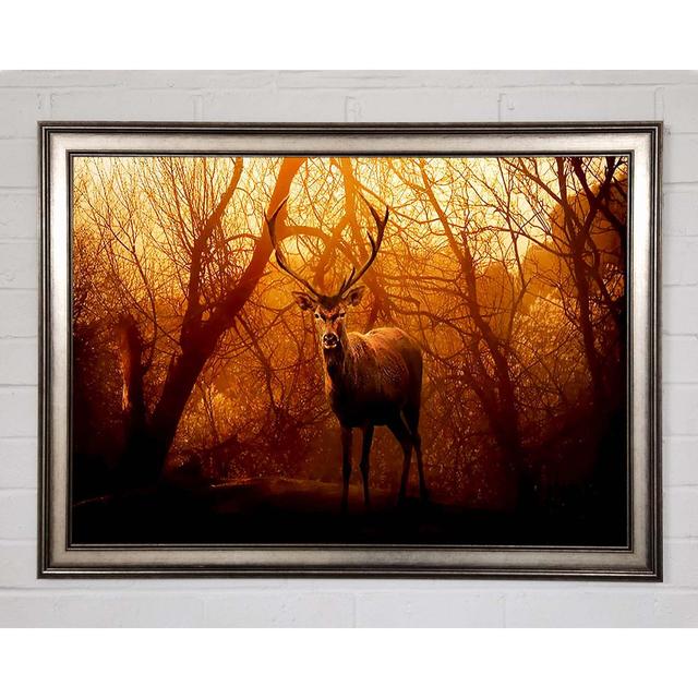 Deer In Winter - Print Union Rustic Size: 84.1cm H x 118.9cm W x 1.5cm D on Productcaster.