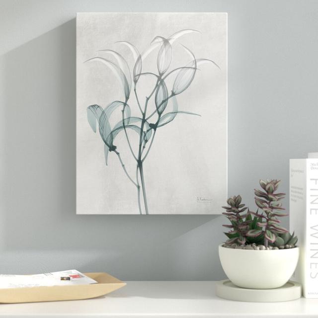 Emerald Oleander Bush - Wrapped Canvas Print East Urban Home Size: 81 cm H x 61 cm W on Productcaster.