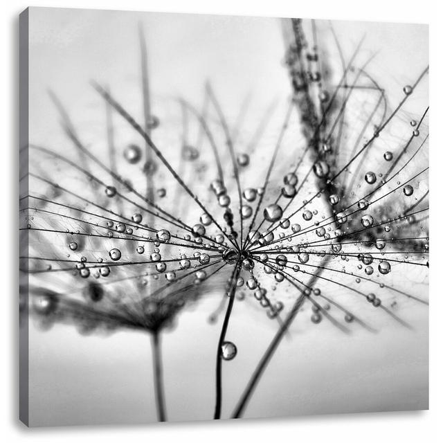 Leinwandbild Pusteblume bedeckt mit Tropfen East Urban Home Größe: 60 cm H x 60 cm B on Productcaster.