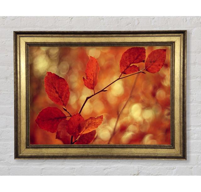 Leaves In Autumn - Single Picture Frame Art Prints Bright Star Size: 59.7cm H x 84.1cm W x 8cm D on Productcaster.