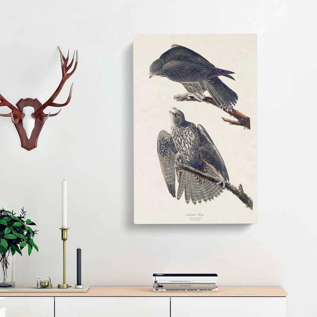 Labrador Falcons - Wrapped Canvas Print East Urban Home Size: 76cm H x 50cm W x 3cm D on Productcaster.