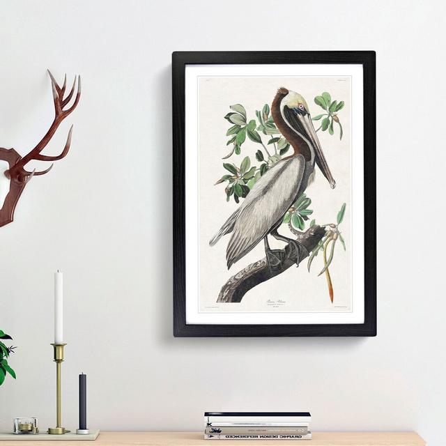 Brown Pelican by John Audubon - Picture Frame Graphic Art Print East Urban Home Size: 36cm H x 27cm W x 2cm D, Frame Option: Black Framed on Productcaster.