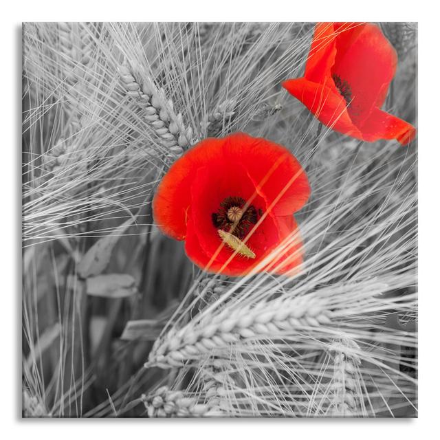 Glasbild Poppies in the Cornfield Brayden Studio Größe: 50 cm H x 50 cm B x 0.4 cm T on Productcaster.