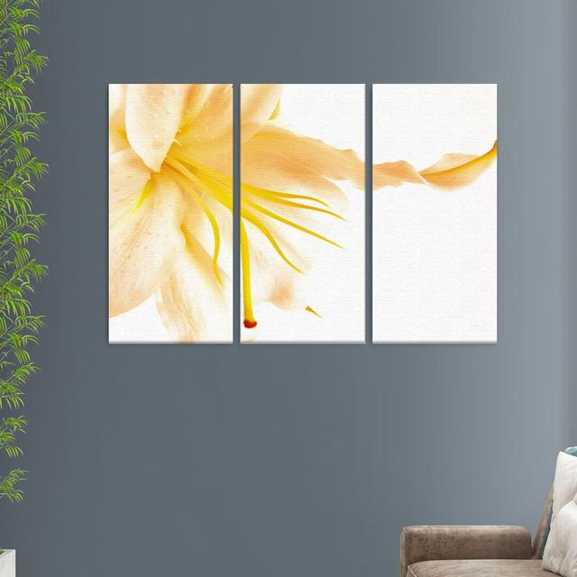 Lily Print Multi-Piece Image on Canvas in White/Orange East Urban Home Size: 100cm H x 150cm W x 4cm D on Productcaster.