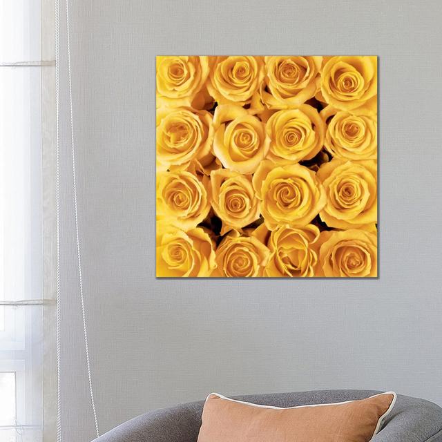 Yellow Rose Creation by - Wrapped Canvas Photograph ClassicLiving Size: 66.04cm H x 66.04cm W x 1.9cm D on Productcaster.