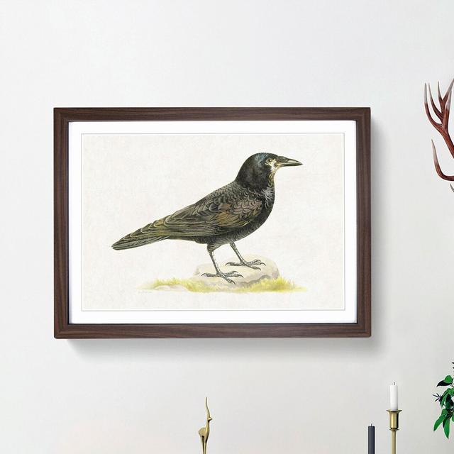 Rook by Von Wright - Picture Frame Painting Print East Urban Home Frame Option: Walnut Framed, Size: 48cm H x 65cm W x 2cm D on Productcaster.