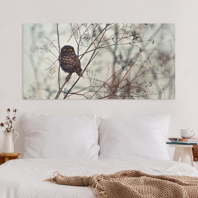 Owl in Winter - Wrapped Canvas Graphic Art Union Rustic Size: 50cm H x 100cm W, Format: 330g/m² recycled canvas on Productcaster.