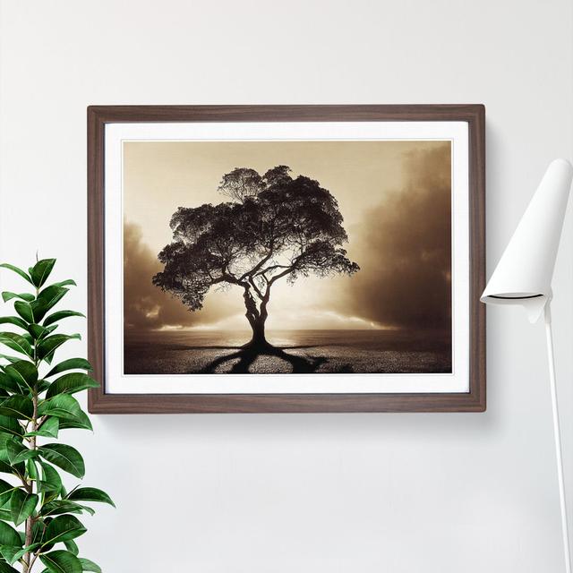 Otherworldly Tree - Picture Frame Graphic Art Marlow Home Co. Size: 34cm H x 46cm W x 2cm D, Frame Colour: Walnut on Productcaster.