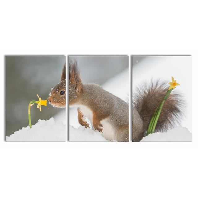 Squirrel in the Snow Photographic Art Print Multi-Piece Image on Canvas East Urban Home Size: 100 cm H x 210 cm W on Productcaster.