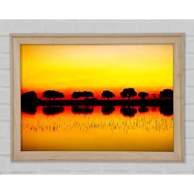 Reflexionen der Sonnenuntergangsbäume Golden - Druck Ebern Designs Größe: 29,7 cm H x 42 cm B x 1,5 cm T on Productcaster.