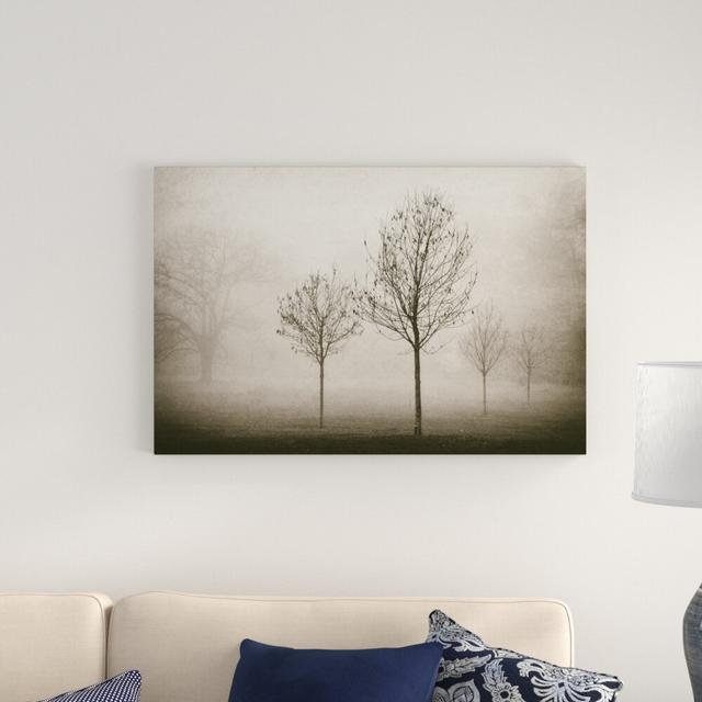 Trees In Fog VII by Jody Stuart - Wrapped Canvas Print Blue Elephant Size: 61cm H x 91cm W on Productcaster.