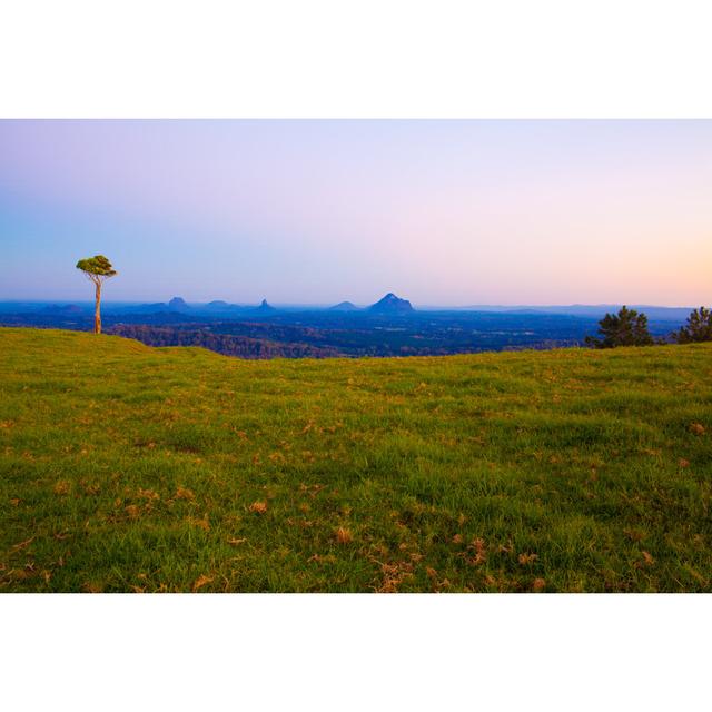 Mountains and Tree in Maleny by Reneeollis - Wrapped Canvas Photograph Latitude Run Size: 51cm H x 76cm W on Productcaster.