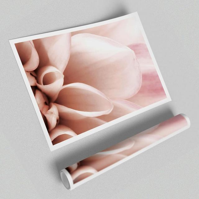 Delicate Petals Flowers' - Unframed Photographic Print on Paper East Urban Home Size: 59.4 cm H x 84.1cm W on Productcaster.