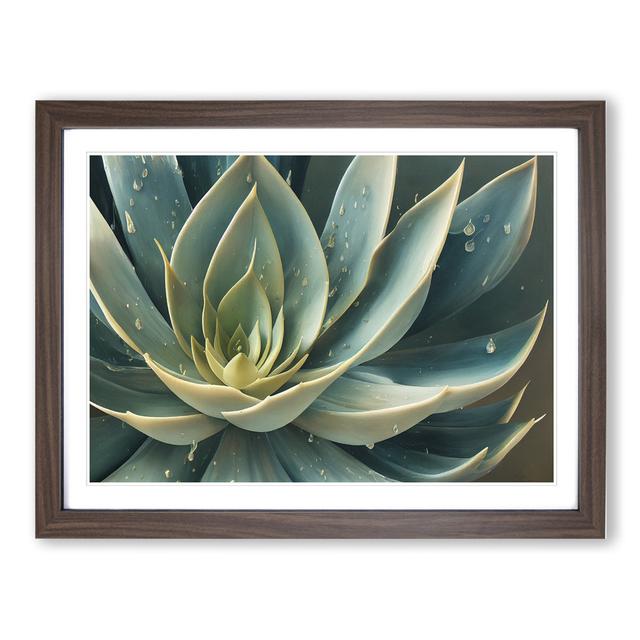 Tantalising Succulent Plant - Picture Frame Graphic Art World Menagerie Frame Colour: Brown, Size: 34cm H x 46cm W x 2cm D on Productcaster.