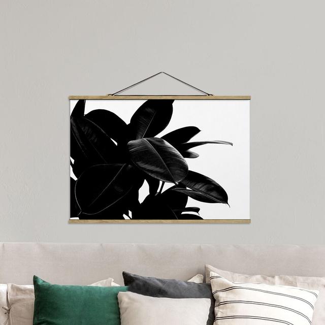 Stoffbild Rubber Tree Leaves Black White Sansibar Home Größe: 23,5 cm H x 35 cm B x 0,3 cm T on Productcaster.