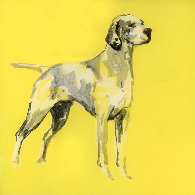 A Very Pop Modern Dog I by Cartissi - Wrapped Canvas Painting Rosalind Wheeler Size: 30cm H x 30cm W x 3.8cm D on Productcaster.