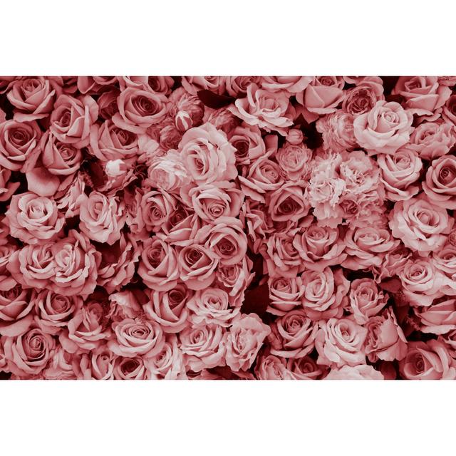 Pink Rose Image by Kyonntra - Print Marlow Home Co. Size: 50cm H x 75cm W on Productcaster.