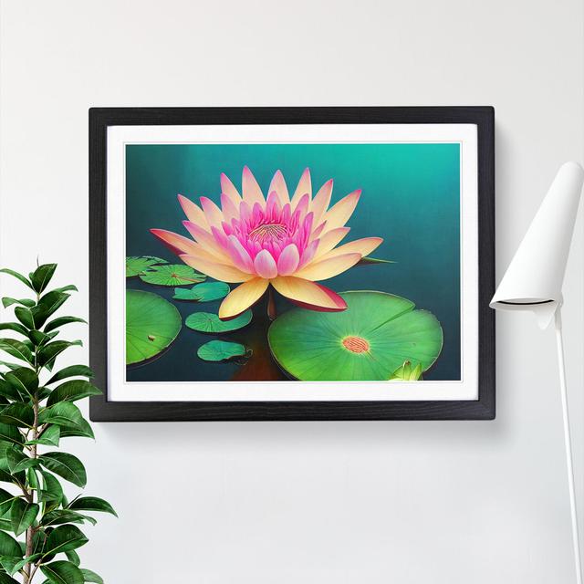 Attractive Water Lily Flower - Picture Frame Painting 17 Stories Size: 25cm H x 34cm W x 2cm D, Frame Option: Black on Productcaster.