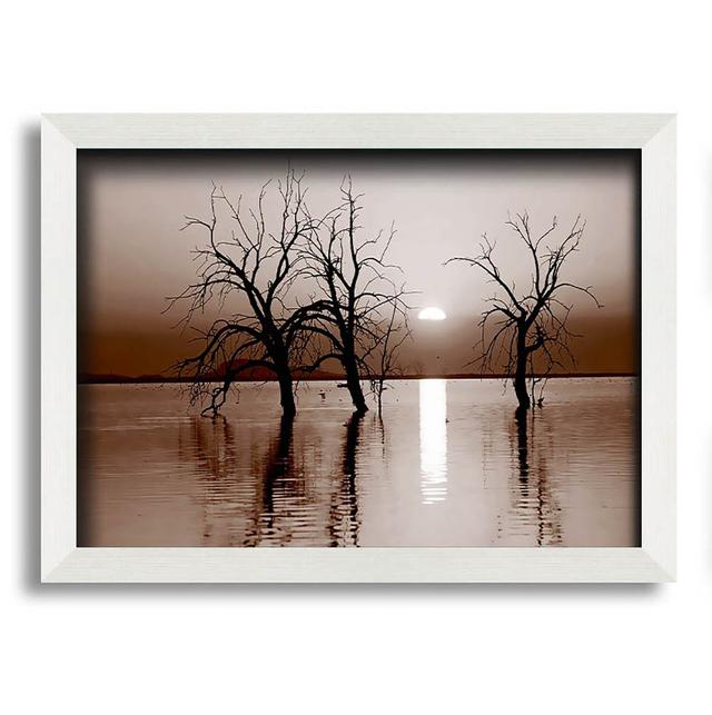 Chocolate River Tree - Single Picture Frame Art Prints Brayden Studio Size: 42cm H x 59.7cm W x 10cm D on Productcaster.