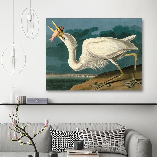 Leinwandbild Great White Heron von John Audubon Rosalind Wheeler Größe: 50 cm H x 70 cm B x 4 cm T on Productcaster.