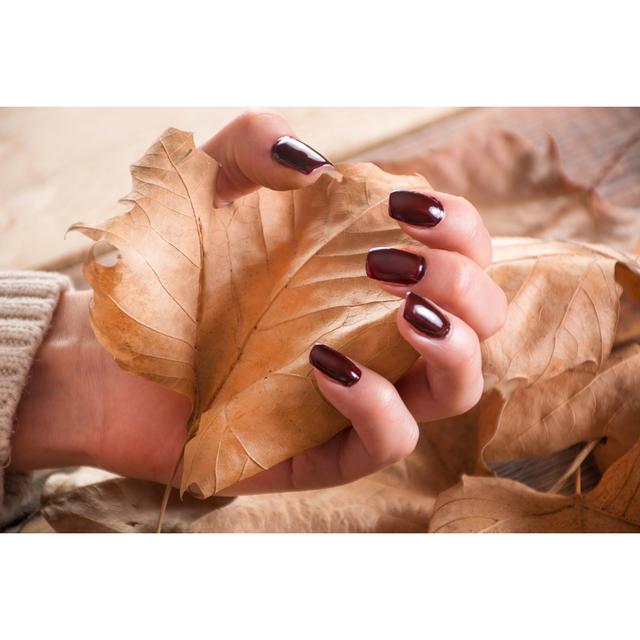 Woman Holding Dry Leaf by Emilija Randjelovic - Wrapped Canvas Print Ebern Designs Size: 20cm H x 30cm W x 3.8cm D on Productcaster.