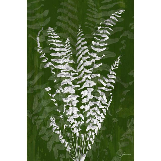 Jewel Ferns I by James Burghardt - Wrapped Canvas Painting August Grove Size: 76cm H x 51cm W x 3.8cm D on Productcaster.