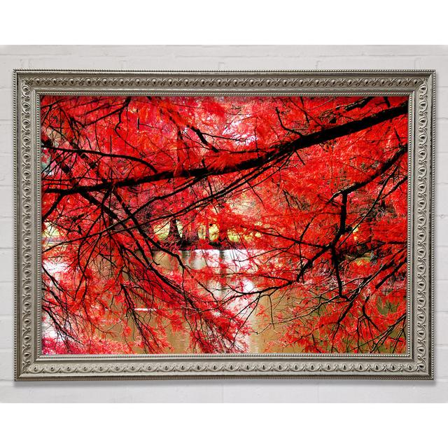 Red River Leaves - Single Picture Frame Art Prints Brayden Studio Size: 42cm H x 59.7cm W x 3cm D, Format: Black Framed Wood on Productcaster.