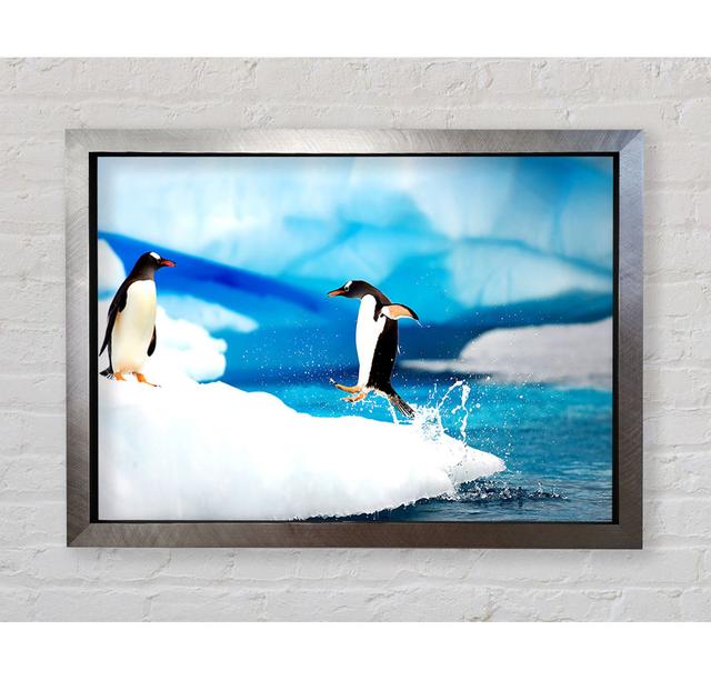 Gentoo Penguins Antarctica - Single Picture Frame Art Prints Bright Star Size: 59.7cm H x 84.1cm W x 3.4cm D on Productcaster.