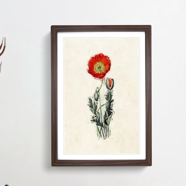 Illustration of a Poppy Flower - Picture Frame Painting Print East Urban Home Size: 36cm H x 27cm W x 2cm D, Frame Option: Walnut Framed on Productcaster.